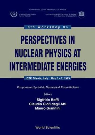 Cover for Sigfrido Boffi · 6th Workshop on Perspectives in Nuclear Physics at Intermediate Energies (Hardcover Book) [Reissue edition] (1995)