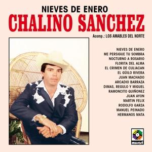 Cover for Chalino Sanchez &amp; Los Amables Del Norte · Nieves de Enero (LP) [Remastered edition] (2024)