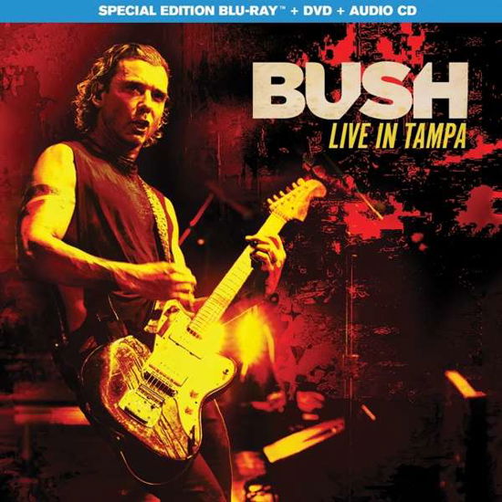 Cover for Bush · Live In Tampa (Blu-Ray) [Special edition] (2020)