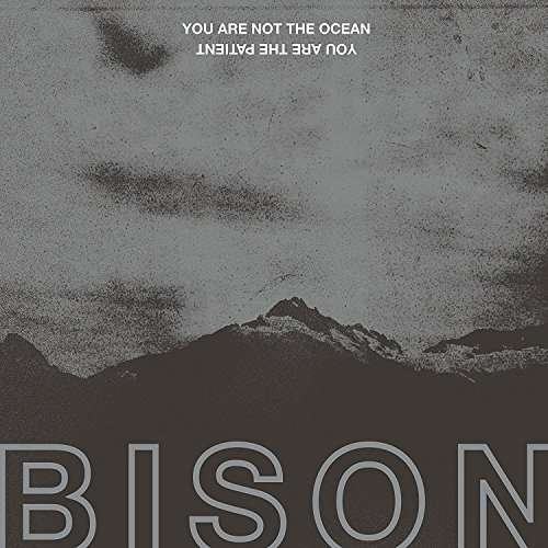 Cover for Bison · You Are Not The Ocean You Are The Patient (LP) (2017)