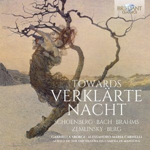 Cover for Zemlinsky / Sborgi · Towards Verklarte Nacht (CD) (2016)