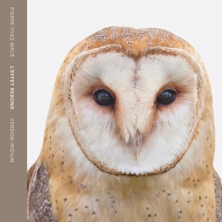 Cover for Chauveau, Sylvain / Pierre-Yves Mace · L'effet Rebond (CD) (2022)