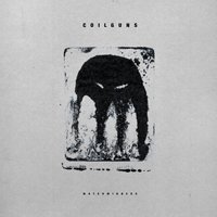 Cover for Coilguns · Watchwinders (LP) (2019)