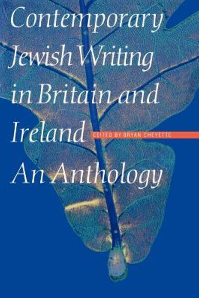 Cover for Bryan Cheyette · Contemporary Jewish Writing in Britain and Ireland - Jewish Writing in the Contemporary World (Taschenbuch) (1998)