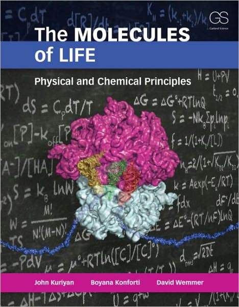 Cover for John Kuriyan · The Molecules of Life (Paperback Book) (2012)