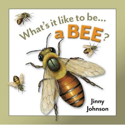 Cover for Jinny Johnson · What's It Like to Be: A Bee? - What's It Like to Be (Hardcover bog) (2013)