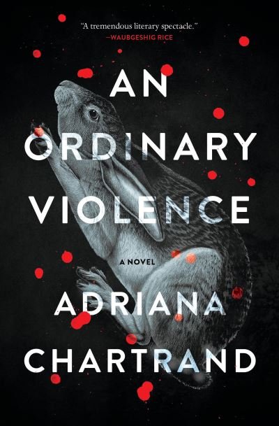 Cover for Adriana Chartrand · Ordinary Violence (Book) (2023)