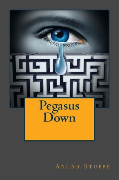 Cover for Arlon K Stubbe · Pegasus Down (Pocketbok) (2015)