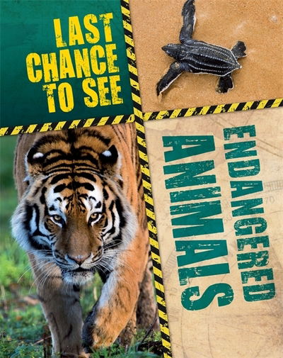 Cover for Anita Ganeri · Last Chance to See: Endangered Animals - Last Chance to See (Paperback Bog) (2019)