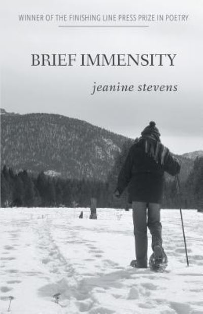 Cover for Jeanine Stevens · Brief Immensity (Paperback Book) (2017)