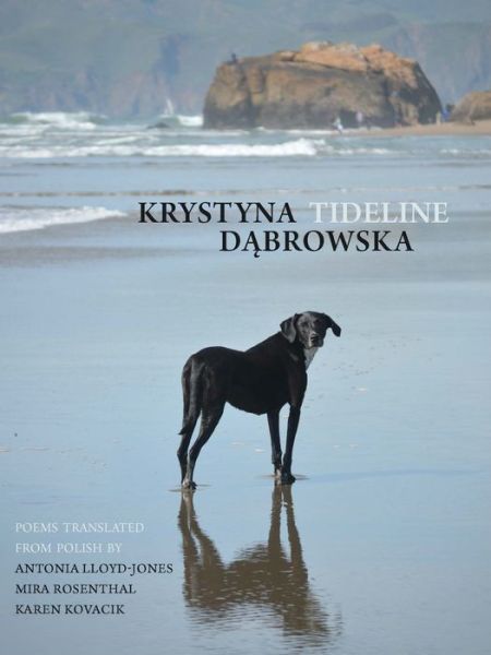 Cover for Krystyna Dbrowska · Tideline - New Polish Writing (Paperback Book) [Bilingual edition] (2022)