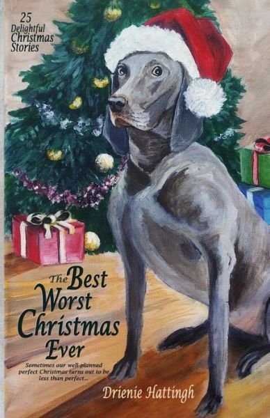 Cover for Drienie Hattingh · The Best Worst Christmas Ever (Paperback Book) (2017)