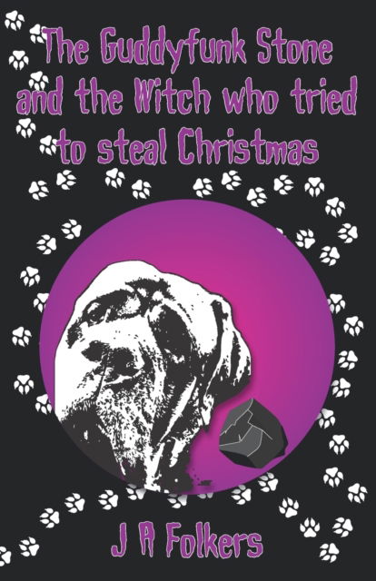 Cover for Julie Folkers · The Guddyfunk stone and the Witch who tried to steal Christmas (Paperback Bog) (2022)