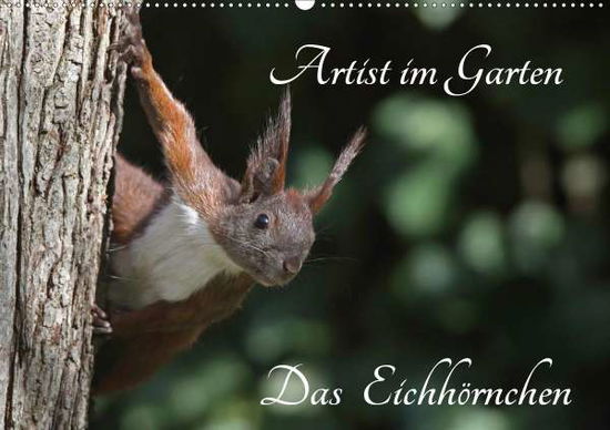 Cover for Konieczka · Artist im Garten. Das Eichhör (Book)