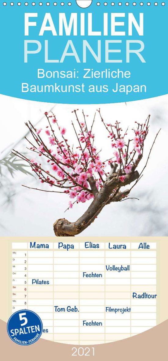 Cover for Bonsai · Zierliche Baumkunst aus Japan - (Book)