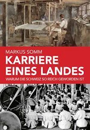 Cover for Markus Somm · Warum die Schweiz reich geworden ist (Hardcover Book) (2021)