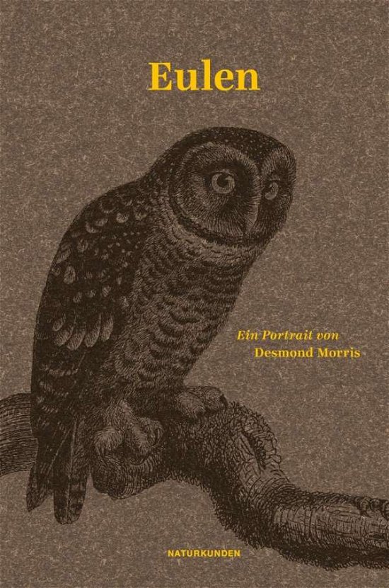 Cover for Morris · Eulen (Bog)