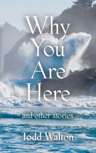 Cover for Todd Walton · Why You Are Here: and other stories (Paperback Book) (2022)