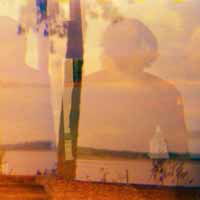 Spillway - Royal Forest - Musik - MOLLUSC RECORDS - 0700261377889 - 12. August 2013