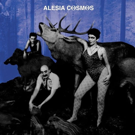 Cover for Alesia Cosmos · Aeroproducts (LP) (2019)