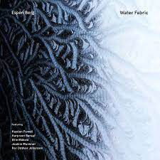 Cover for Espen Berg Trio · Water Fabric (CD) (2024)