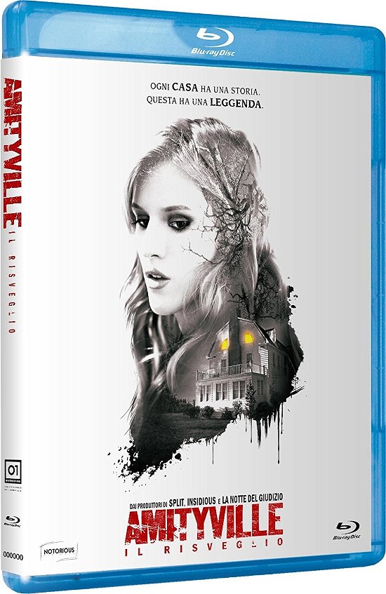 Cover for Jennifer Jason Leigh,cameron Monaghan,bella Thorne · Amityville - Il Risveglio (Blu-ray) (2017)