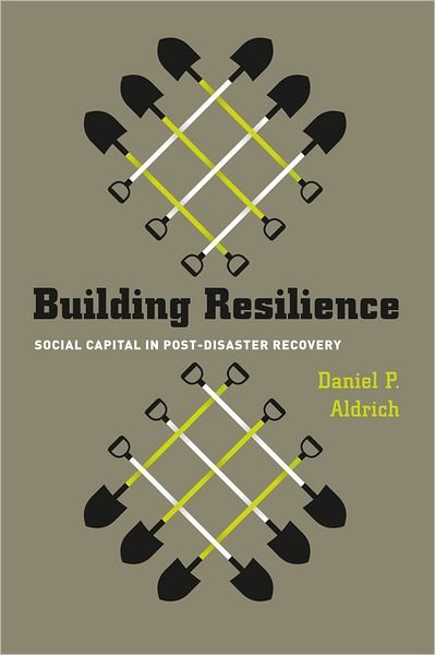 Cover for Daniel Aldrich · Building Resilience – Social Capital in Post–Disaster Recovery (Paperback Book) (2012)
