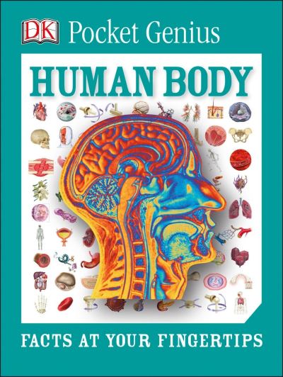 Cover for Dk · Pocket Genius : Human Body : Facts at Your Fingertips (Paperback Book) (2016)