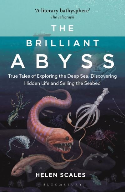 Cover for Helen Scales · The Brilliant Abyss: True Tales of Exploring the Deep Sea, Discovering Hidden Life and Selling the Seabed (Pocketbok) (2022)