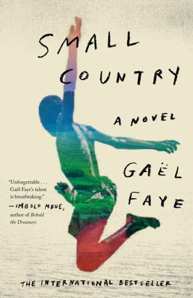 Cover for Gaël Faye · Small Country A Novel (Paperback Bog) (2019)