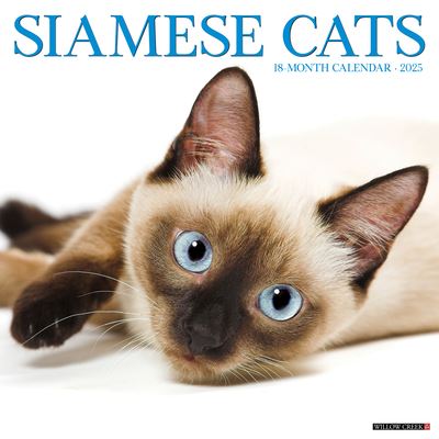 Siamese Cats 2025 12 X 12 Wall Calendar - Willow Creek Press - Produtos - Willow Creek Press Calendars - 9781549244889 - 10 de setembro de 2024