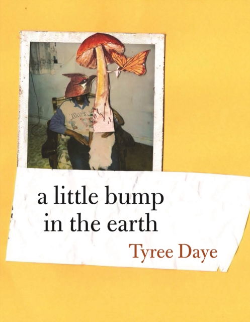 Cover for Tyree Daye · A Little Bump in the Earth (Paperback Book) (2024)