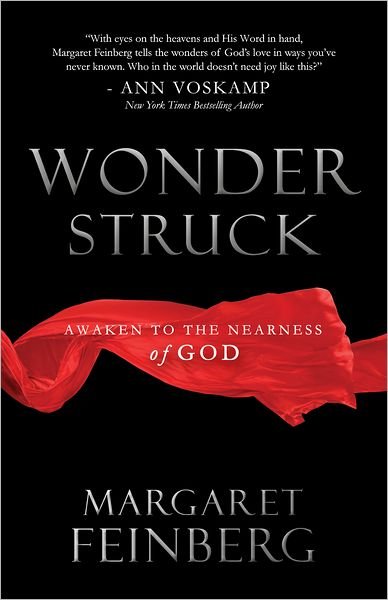 Wonderstruck: Awaken to the Marvel of God's Affection for You - Margaret Feinberg - Książki - Worthy Publishing - 9781617950889 - 25 grudnia 2012