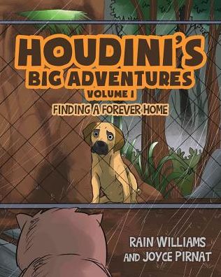 Cover for Rain Williams · Houdini's Big Adventures: Finding a Forever Home (Paperback Book) (2018)