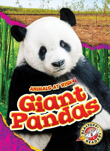 Cover for Rachel Grack · Giant Pandas (Book) (2022)