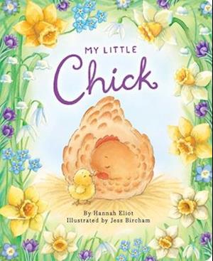 Cover for Hannah Eliot · My Little Chick - My Little (Board book) (2026)