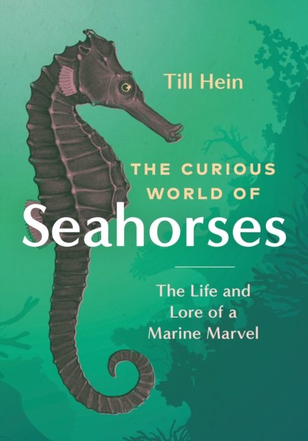 Till Hein · The Curious World of Seahorses: The Life and Lore of a Marine Marvel (Hardcover Book) (2023)