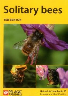 Cover for Ted Benton · Solitary bees - Naturalists' Handbooks (Paperback Book) (2017)