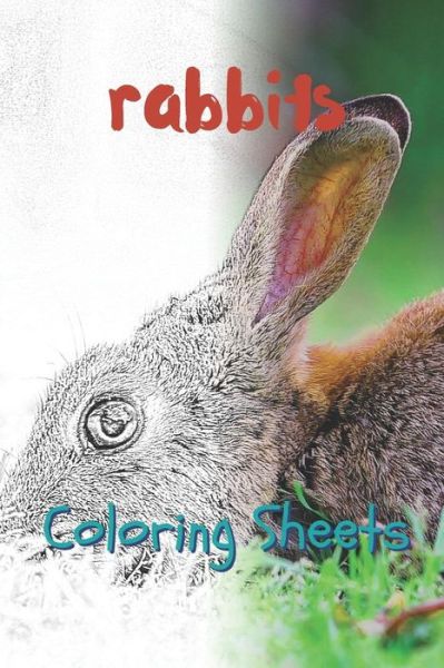 Cover for Julian Smith · Rabbit Coloring Sheets (Pocketbok) (2019)