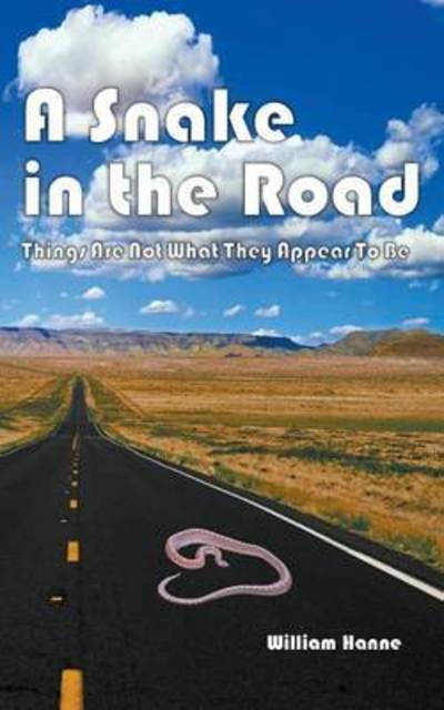 A Snake in the Road: a Different Take on the U.s. Involvement in Vietnam - William G Hanne - Books - Michael A. Feinberg - 9781943842889 - September 12, 2015