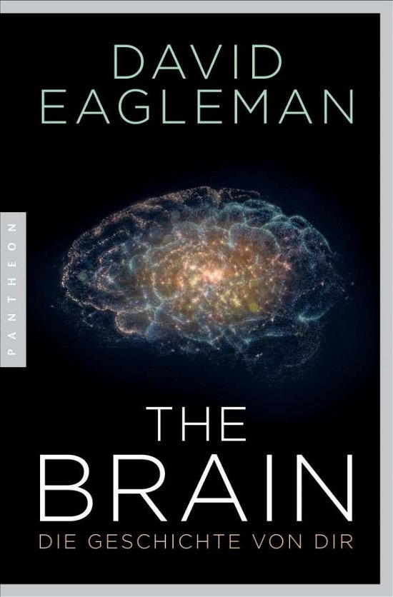 Cover for Eagleman · The Brain (Bog)