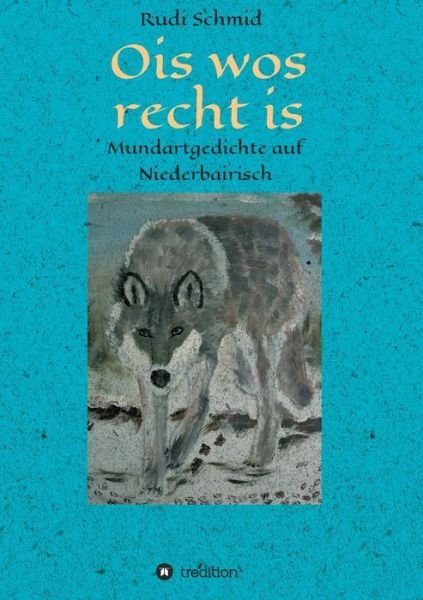 Cover for Schmid · Ois wos recht is (Book) (2019)