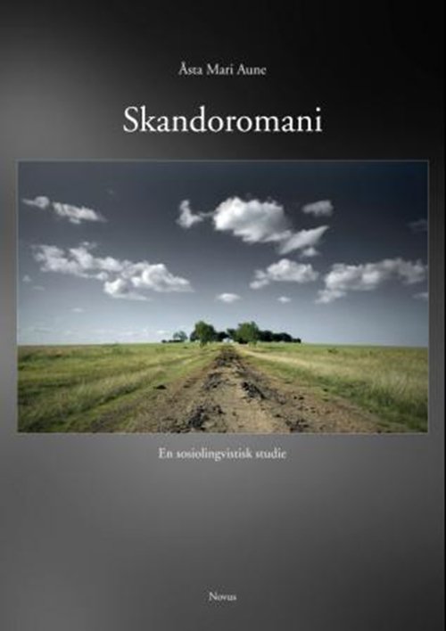 Skandoromani - Åsta Mari Aune - Bücher - Novus forlag - 9788270996889 - 15. Juni 2012