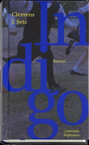 Indigo - Clemens J. Setz - Books - Gyldendal - 9788703070889 - July 21, 2015