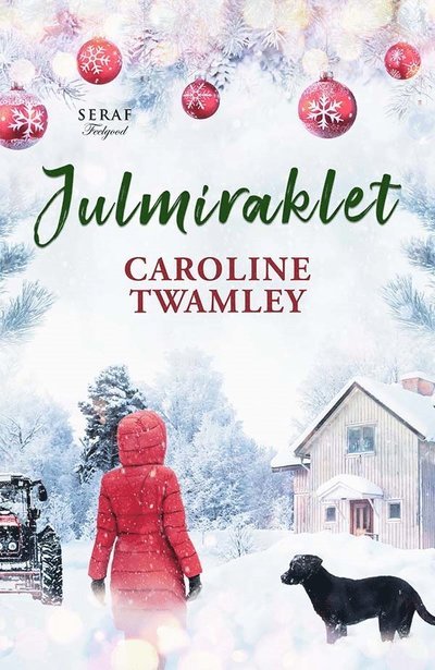 Cover for Caroline Twamley · Julmiraklet (Book) (2021)
