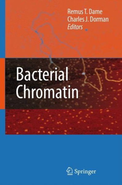 Cover for Remus T Dame · Bacterial Chromatin (Pocketbok) [2010 edition] (2014)