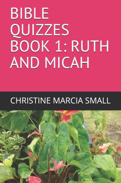 Bible Quizzes Book 1 - Christine Marcia Small - Książki - Independently Published - 9798636609889 - 12 kwietnia 2020