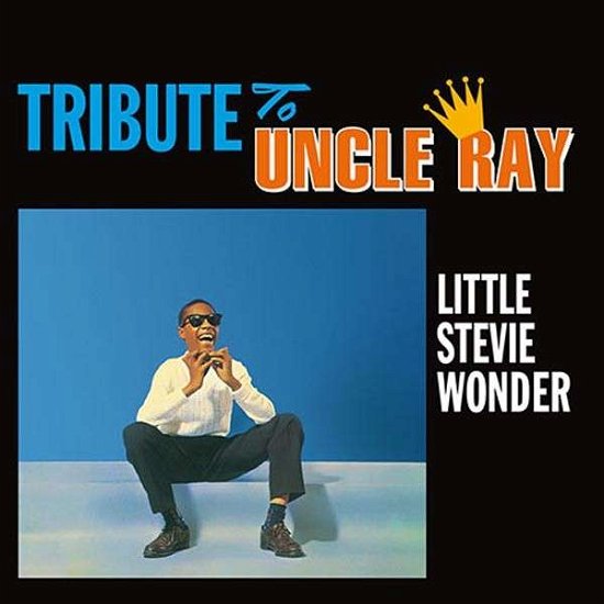 Tribute to Uncle Ray - Stevie Wonder - Musik - RUMBLE - 0889397102890 - 14. januar 2014