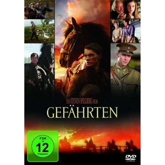 Cover for Gefährten (Spielberg / Dreamworks) (DVD) (2012)