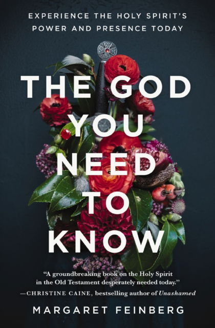 Cover for Margaret Feinberg · The God You Need to Know: Experience the Holy Spirit's Power and Presence Today (Paperback Book) (2025)